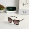 Rayban 4614 Brown
