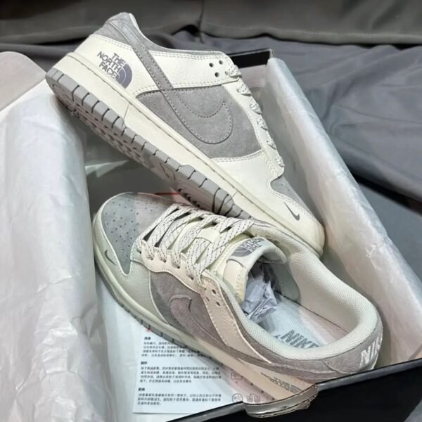 Nike Sb dunk X the North Face 2025