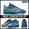 Nike LeBron Basketball shoes